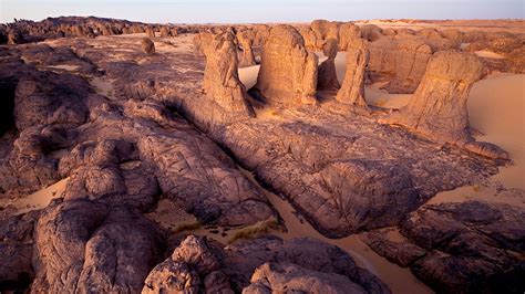 Discover Algeria's Safe Guide on Navigating Adult Content Legally