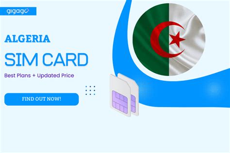 Best Premium SIM Deals Algeria 2023 Uncovered