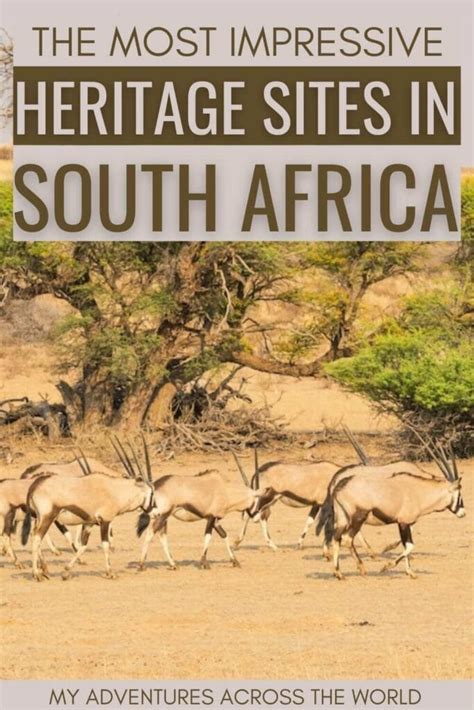 Top adult sites South Africa review